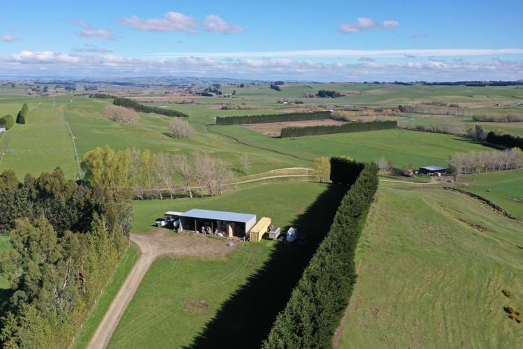 526 Turnbull Road Gore Surrounds_12