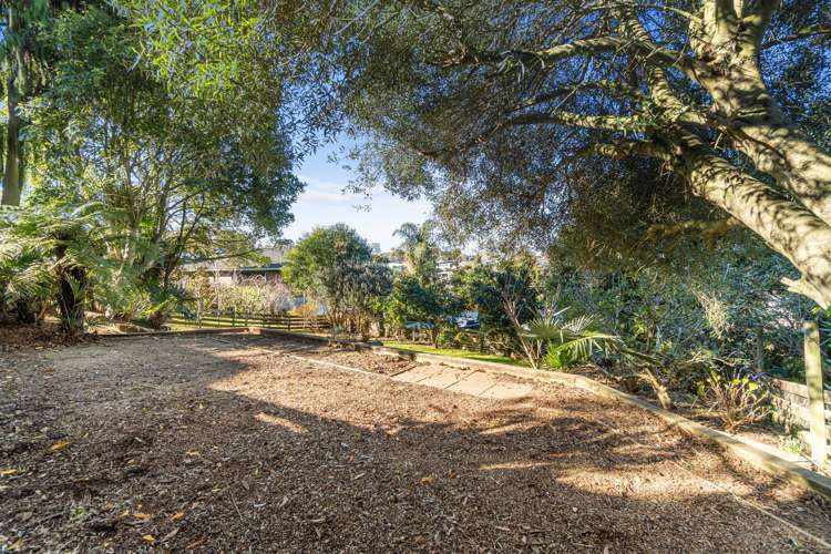 451 Wallace Terrace Te Awamutu_15