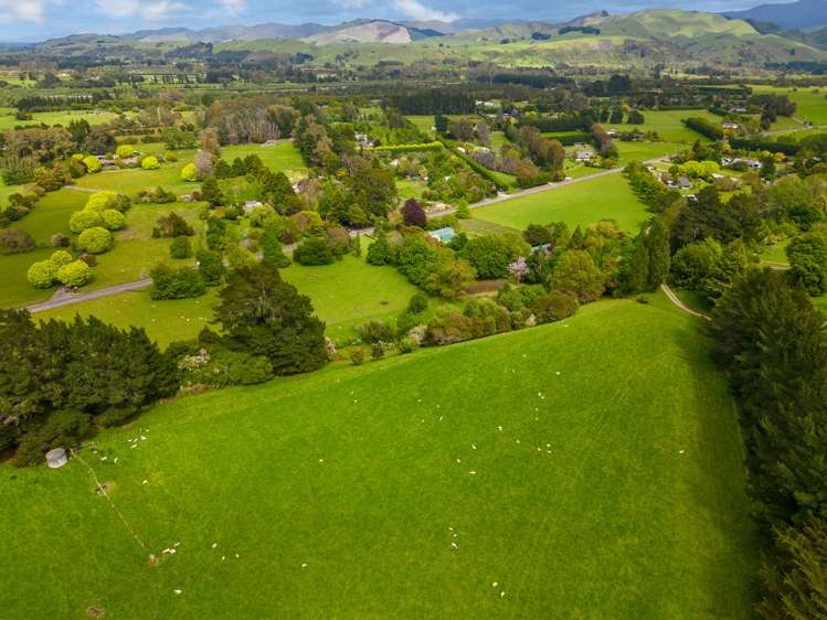 598 Upper Plain Road Masterton Masterton Houses for Sale One Roof