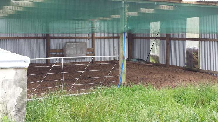 455 Surrey Road Tariki_5