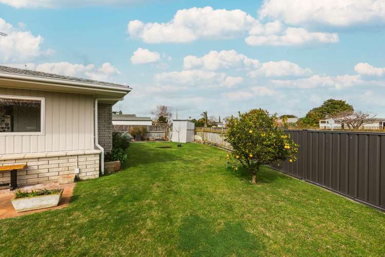 60 Osier Road Greenmeadows_13