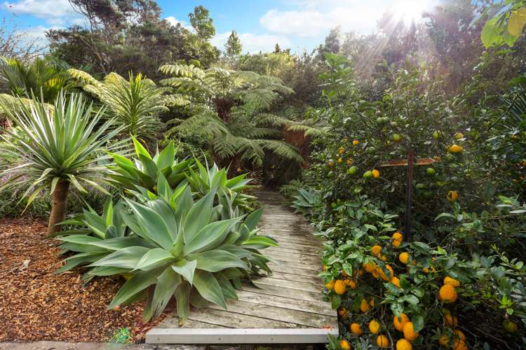 85 Old Waipu Road Mangawhai_19