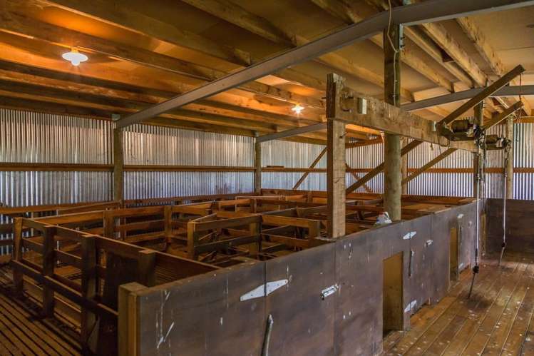 2/449 Hororata Road Coalgate_4