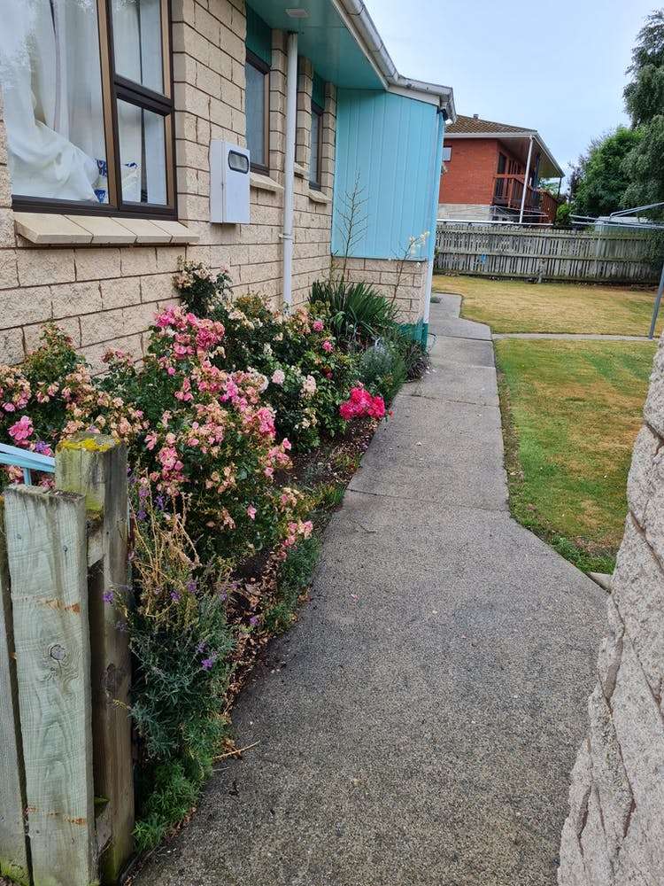 51 John Street Ranfurly_4