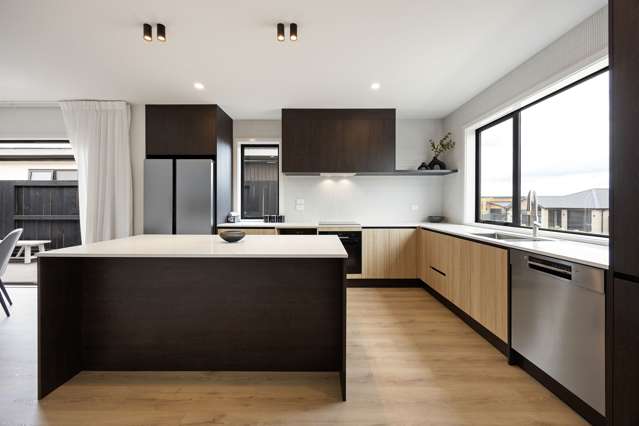 16 Lumino Terrace Peacocke_1