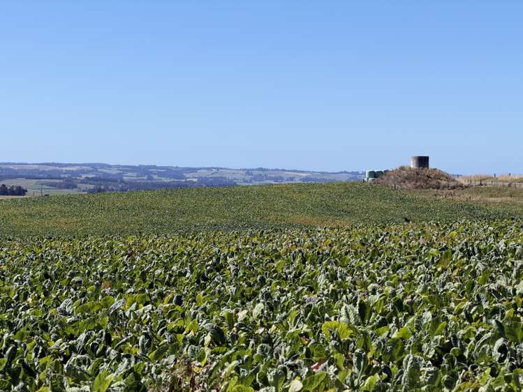 675 Black Bridge Road Ashley Downs_15