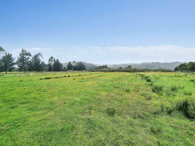 402 Maori Creek Road_5