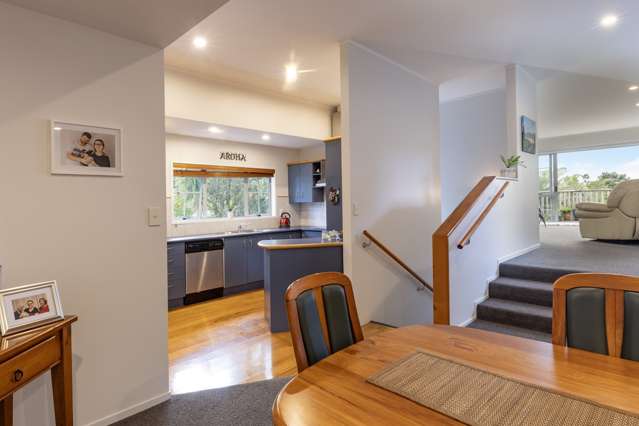 13 Awhiorangi Promenade Swanson_3