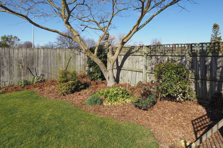 62 Elizabeth Street Allenton_18