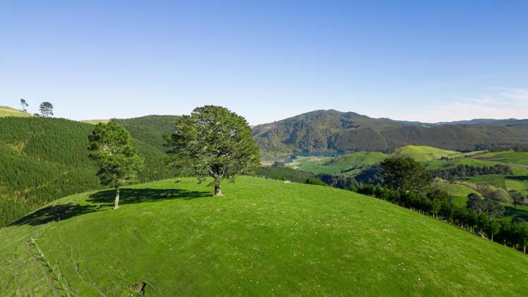 Lot 2 Te Kopia Road Waikite Valley_10