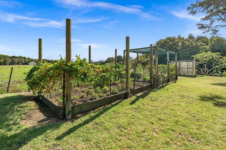 621 Tokiri Road Titoki_11