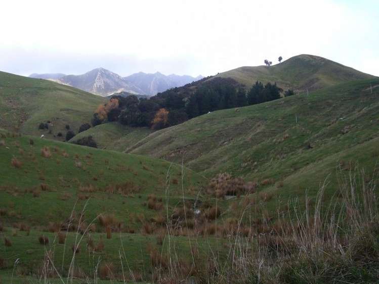 419 Spur Road Pongaroa_27