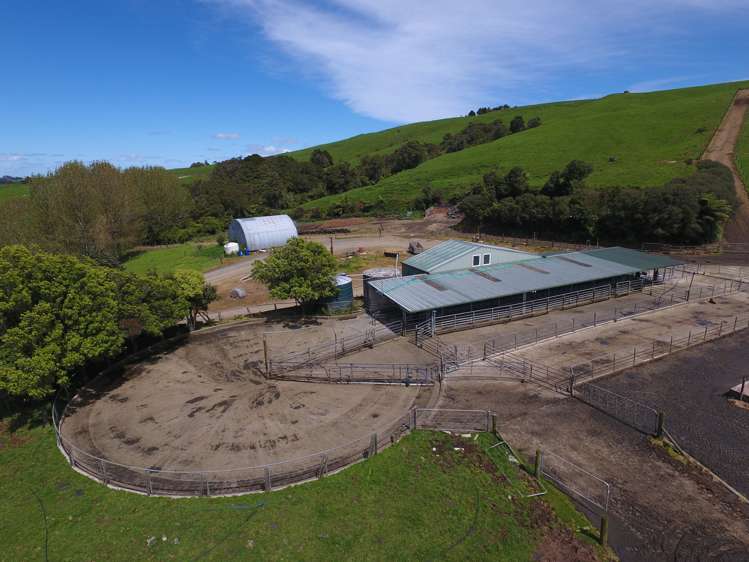 487 Pekanui Road. Rd 6 Te Awamutu_12