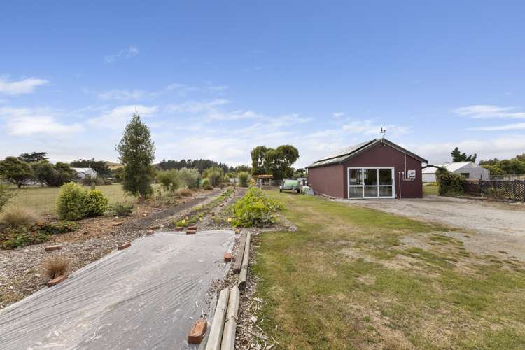 66 London Street Hampden_21