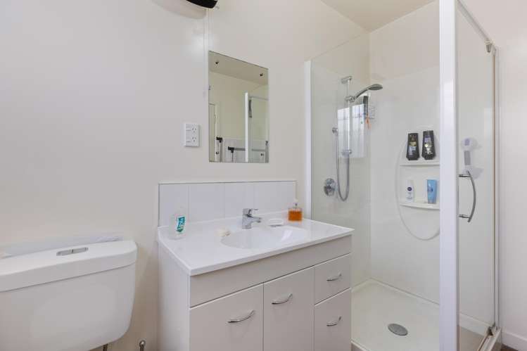 184a Brooklands Road Vogeltown_17