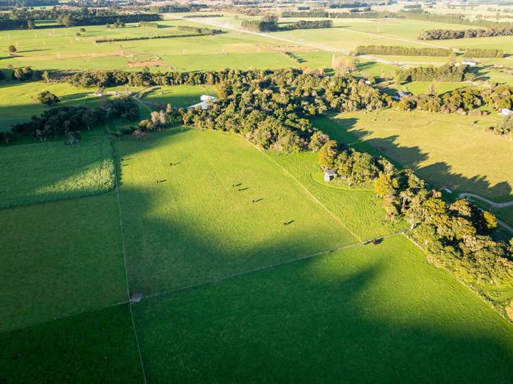 194D Underhill Road Greytown_17