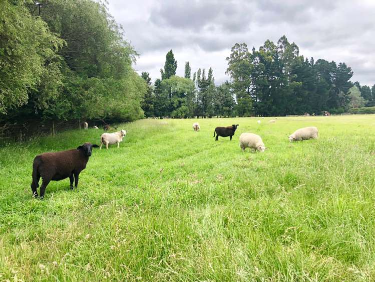 791 Old West Coast Road West Melton_24