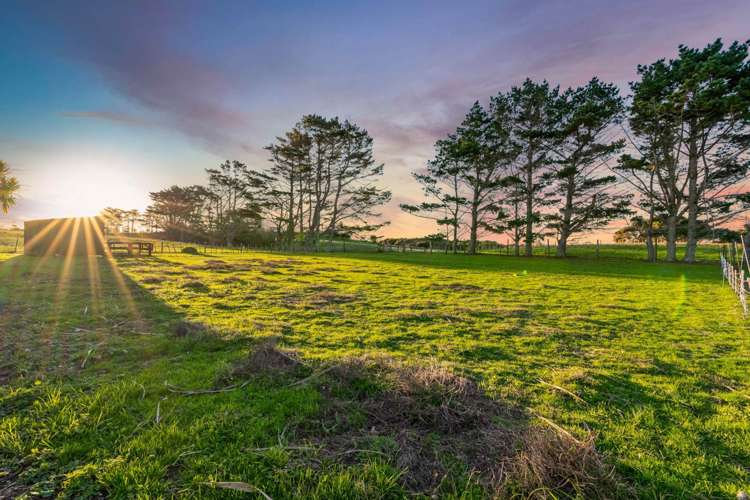 296a Oaia Road Muriwai_19