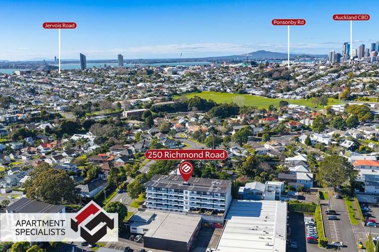 250 Richmond Road Grey Lynn_18