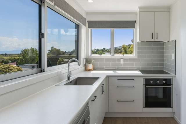 114 Abingdon Place Thames_1
