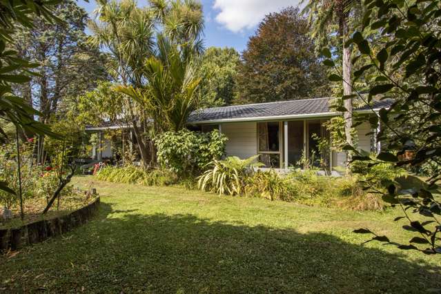 133 Consols Street Waihi_3