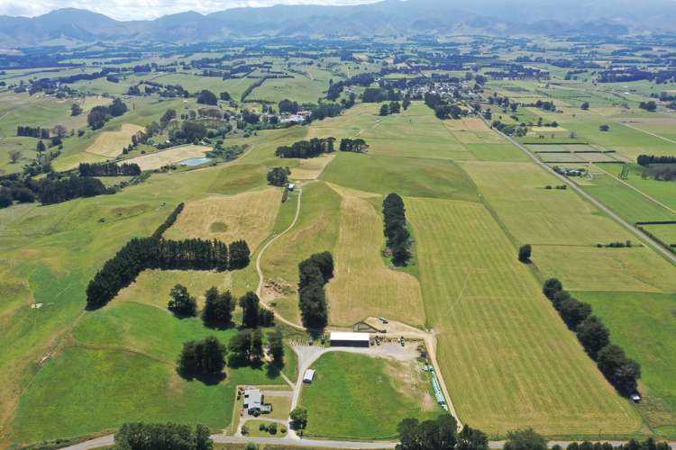 83 Norsewood Ormondville Road Norsewood_22