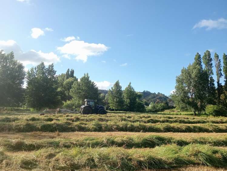 48 Doel Road Kawakawa_43