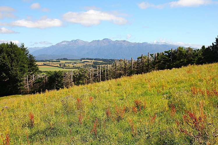 112 Ridgedale Road Te Anau_3