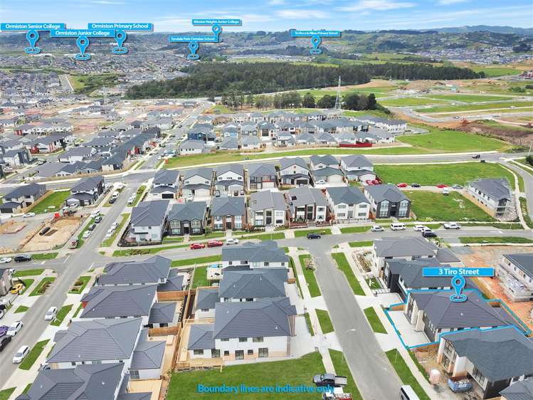 3 Tiro Street Flat Bush_2