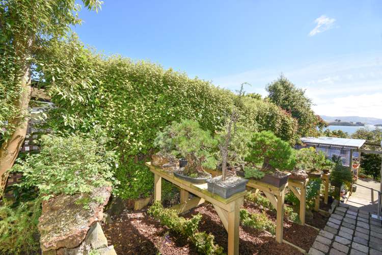 17 Virginia Avenue Broad Bay_19