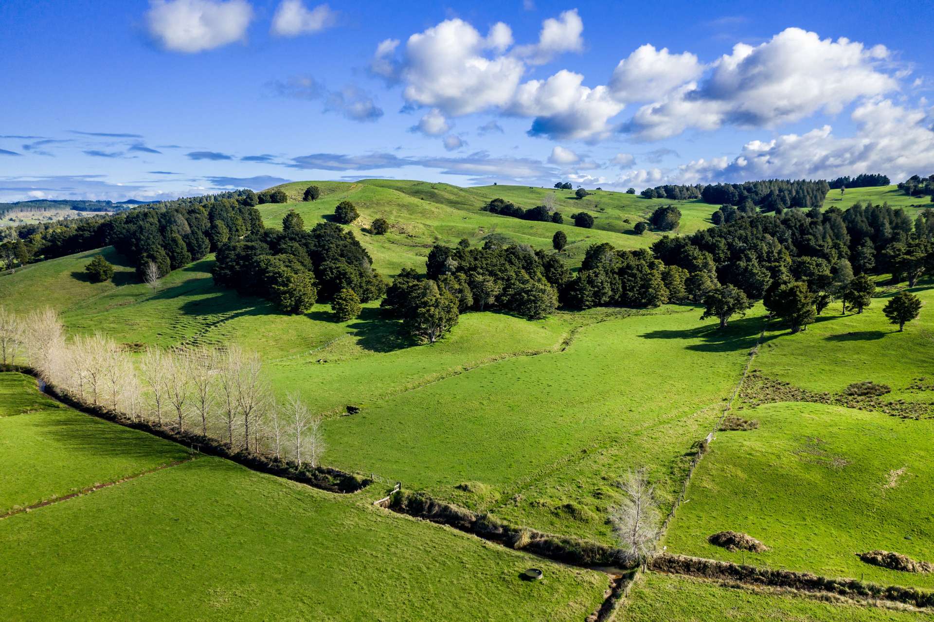 2686 Waihue Road | Dargaville Surrounds | Kaipara | Houses for Sale ...