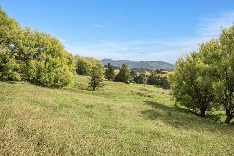 Kirikopuni Road Parakao_14