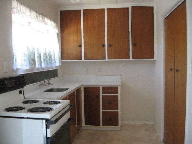 2/4 Willow Avenue Stoke_2