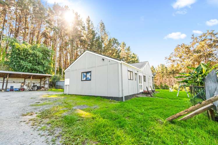 110 Whangape Track Road Broadwood_19