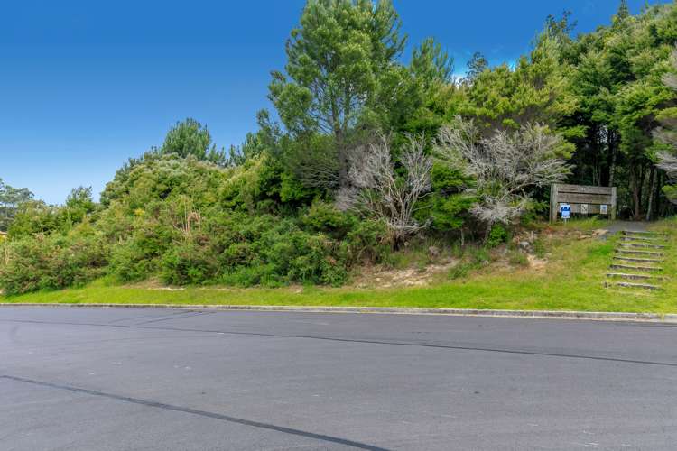 121 Onetaunga Road Chatswood_13