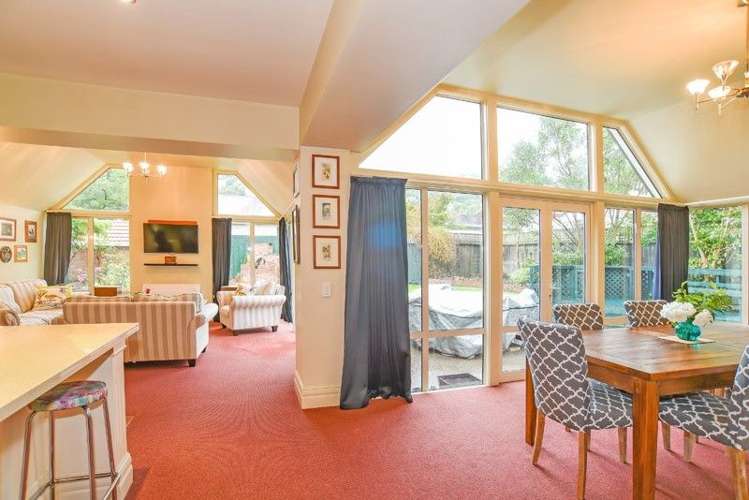 164 Forbury Road Saint Clair_5