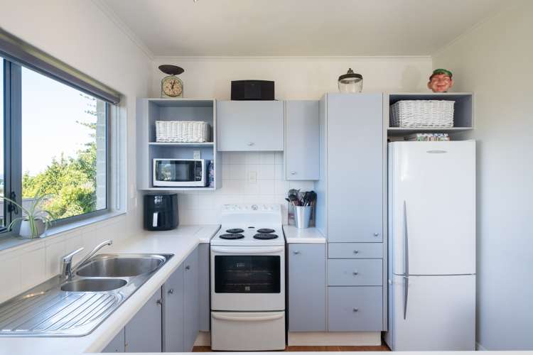 31 Fitzroy Road Bluff Hill_10