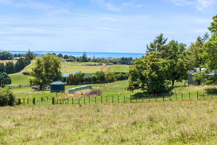 690 Esdaile Road Whakamarama_12