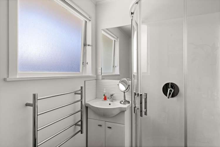 61 Westminster Avenue Tamatea_9