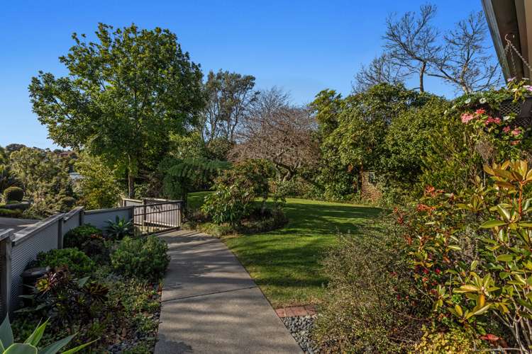 3 Orchid Rise Whakatane_11