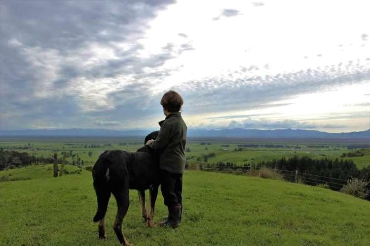 944 Waiti Road Tahuna_6