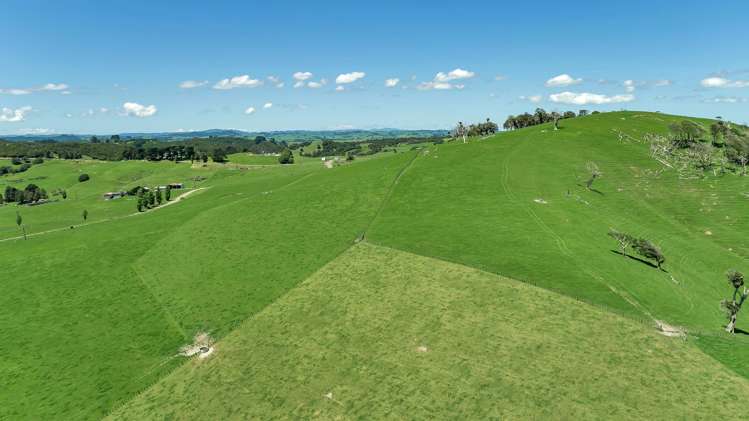 458 Parahi Road Ruawai_22