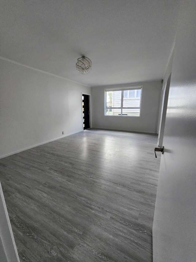 60 Webster Avenue Mt Roskill_1