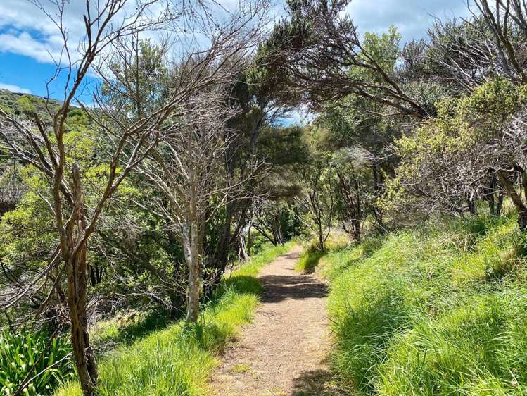 68 Korora Road Oneroa_16