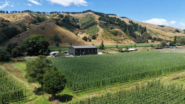 390 Tadmor Valley Road Tapawera_16