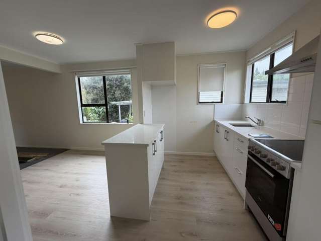 27H Rehia Road Massey_4