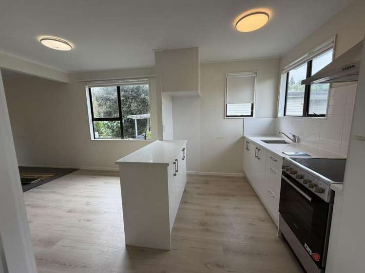 27H Rehia Road Massey_4