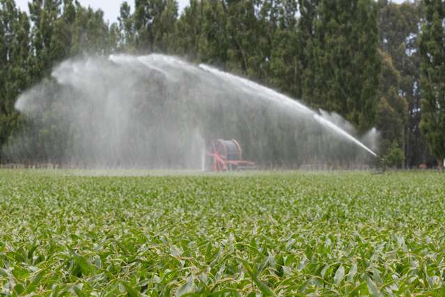 349 Wakanui Road Ashburton_2