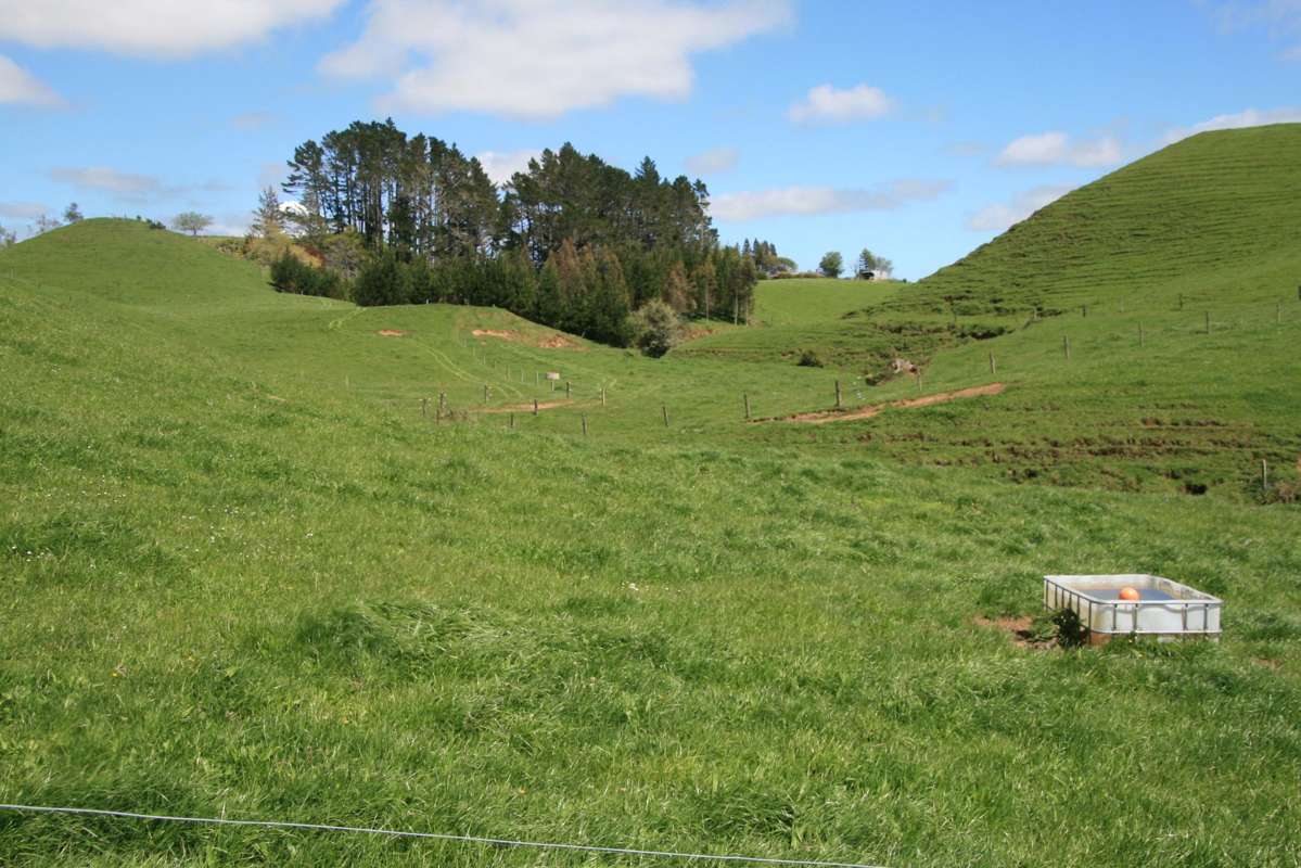 121 Tarata Road_5
