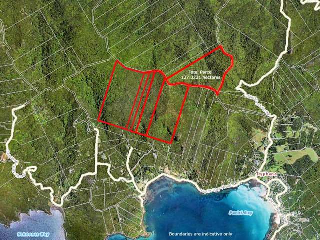 Parish of/3 Allotmen Schooner Bay Road Great Barrier Island_1